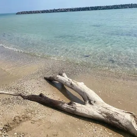 公寓 T2 Climatise A 1 Min Mer, Balcon, Piscine *