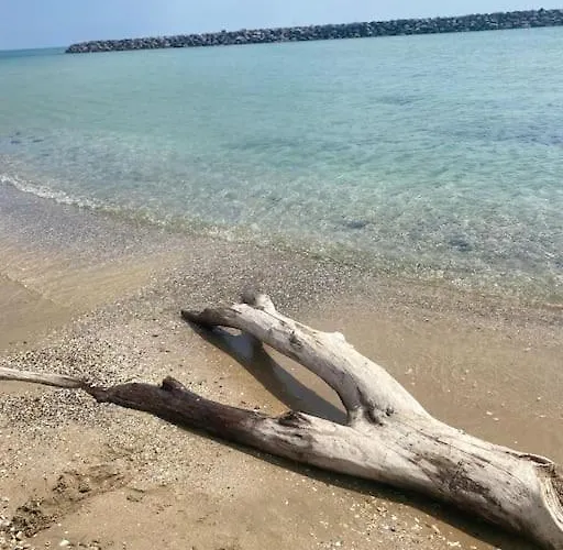 Daire T2 Climatise A 1 Min Mer, Balcon, Piscine *